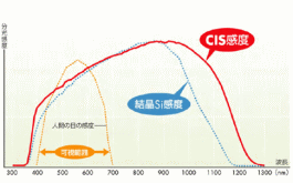 ���¿���θ���ۼ�