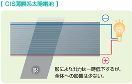 CIS������ϡ���������