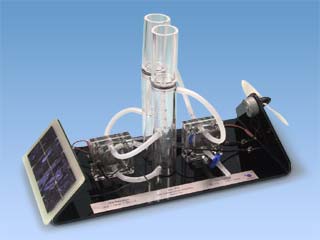 ǳ������ Junior Basic(����˥��١����å���