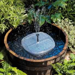 �����顼ʮ��