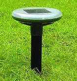 �����顼�⥰������